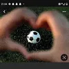naja_1616