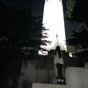 lesliesaldivar6