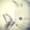 lyly11011