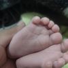 charca_27