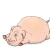 puelquita01