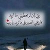 user309322717146