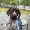philip_jonesuk1