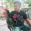 fighterbelungpolo