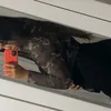 rayca_rangel