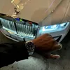 king_piter93