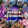 disneyaesthetic_1