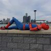 sensationalspiderdan