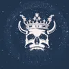 user451996249