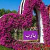 user601201042879