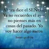 marcelalescano6