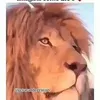 joaovictor2426
