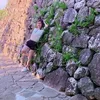 chinhphan539