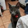 alexandronieto1