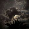 amani_mohammed15