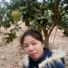 user16062315