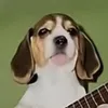 plusariturre