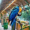 samer.darwish.ae