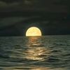 blackmoon0925