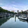 fruuhaifrax1