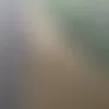 elvl_1