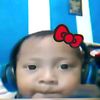 windhynasikuning