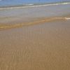 cindya__