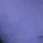 user13131313131117