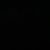 lifann_20