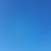 _corey_971