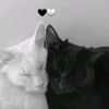 menna_allah31