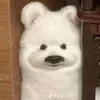 on_beiu