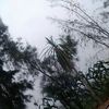 noone__7770