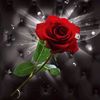 user480598793