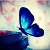 za_far3