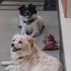 its_lolaandscooter