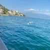 piantagrassa_0