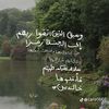 hatoon_353