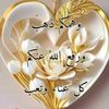 ashraf.elnagar4