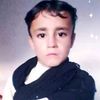 shereengulniazi