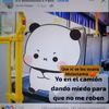 2aniis