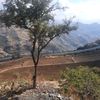 ghamdanbadrfareaatil