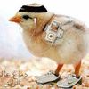 mohmmedyoussef07