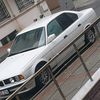 ismail49499