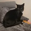 bethsucksatlife