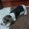 uribeanitaanitauribe
