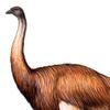 fathergoose8