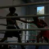 koshinee_8