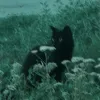 nu.e_9