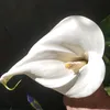 maviga2